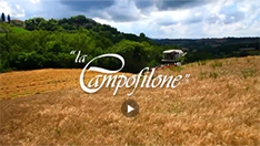 La Campofilone